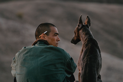 Black_Dog_06